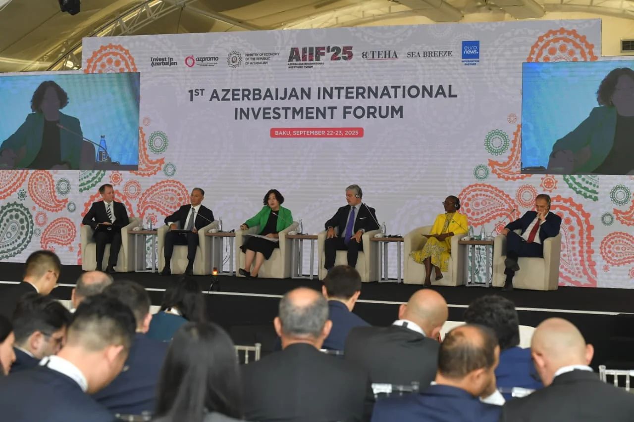 Панель «Strategic Hubs in the Context of Global Changes»